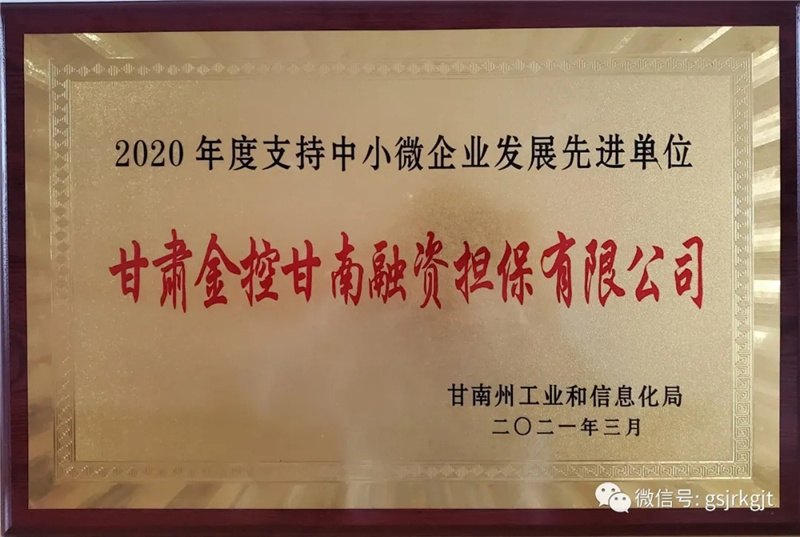 金控甘南擔(dān)保榮獲2020年度支持中小微企業(yè)發(fā)展先進(jìn)單位稱號