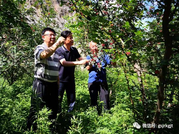 201907161563262611135248.jpg 20190716_153636_019.jpg