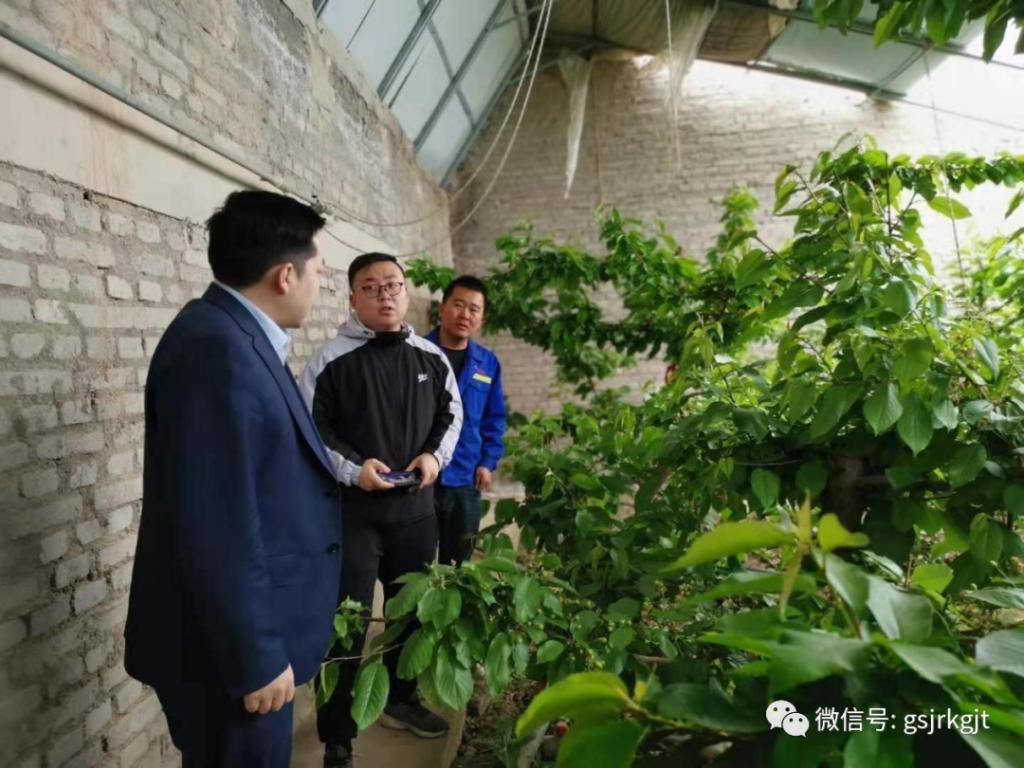 金控酒泉擔(dān)保開展專項保后檢查工作